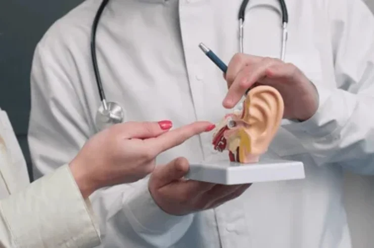 ENT (Otolaryngology)